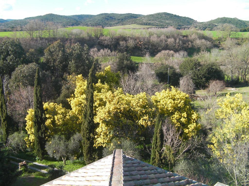 Casale Del Tiglio Bed and Breakfast Cerveteri Habitación foto