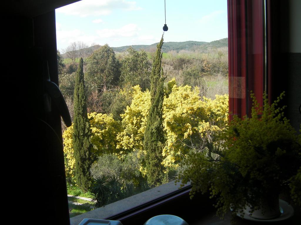 Casale Del Tiglio Bed and Breakfast Cerveteri Habitación foto