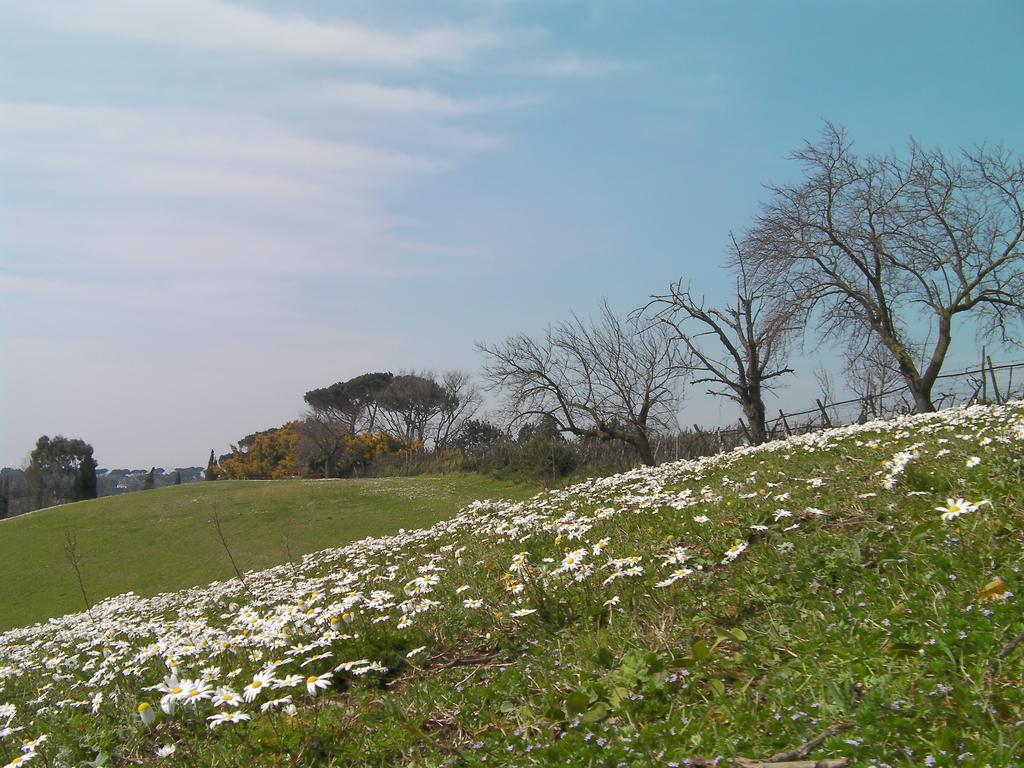 Casale Del Tiglio Bed and Breakfast Cerveteri Habitación foto